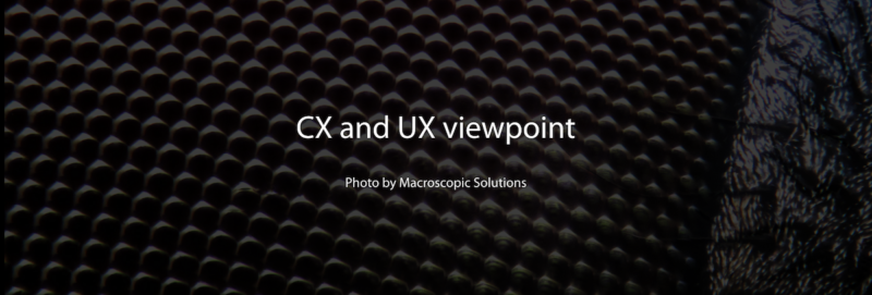 CX and UX viewpoint