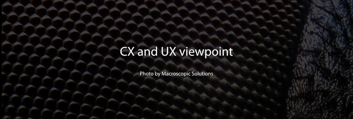 CX and UX viewpoint