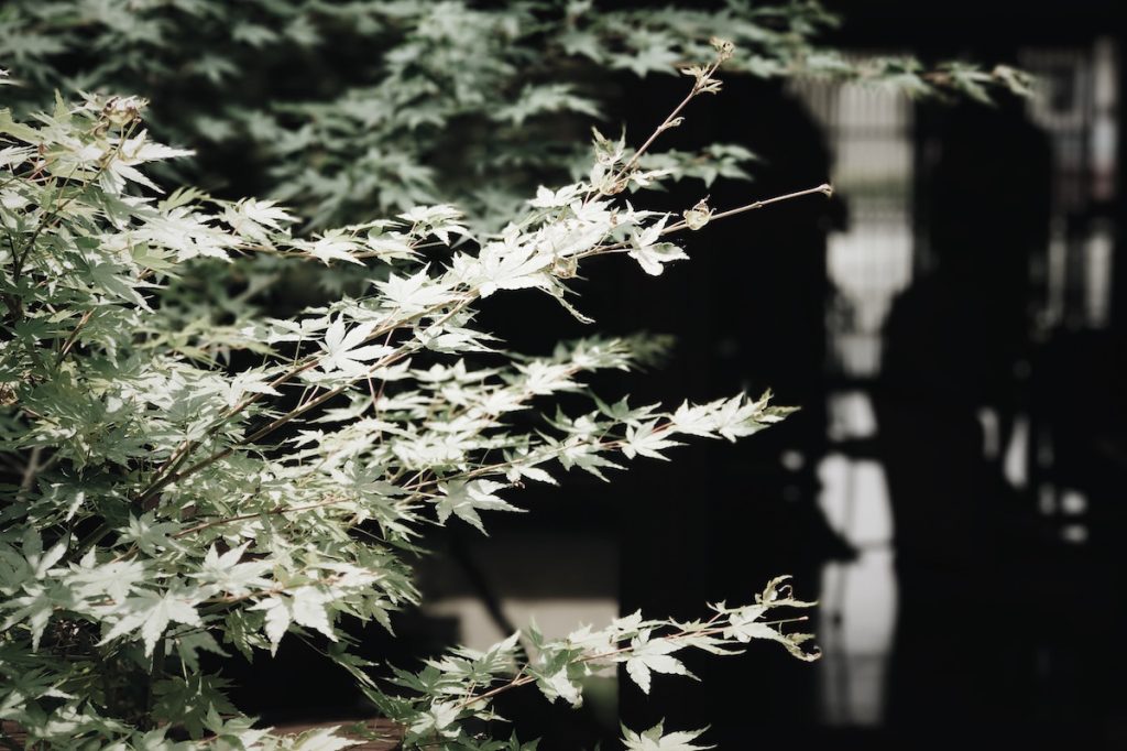 「京都 月と」