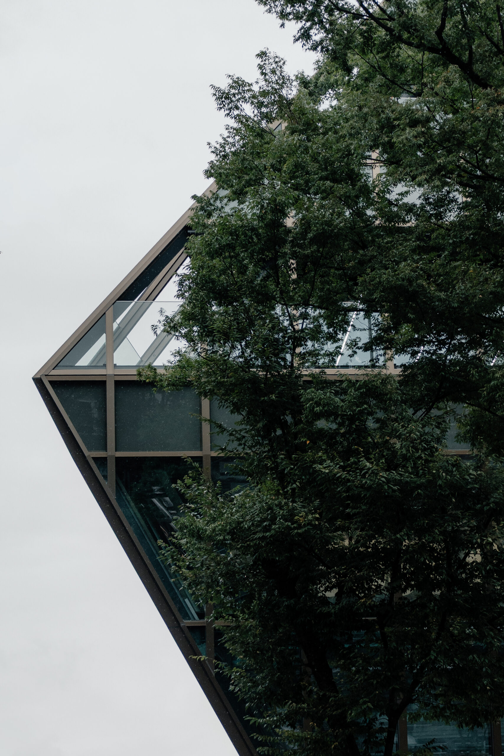 木々の向こうに見える鋭角に張り出したガラスの建物