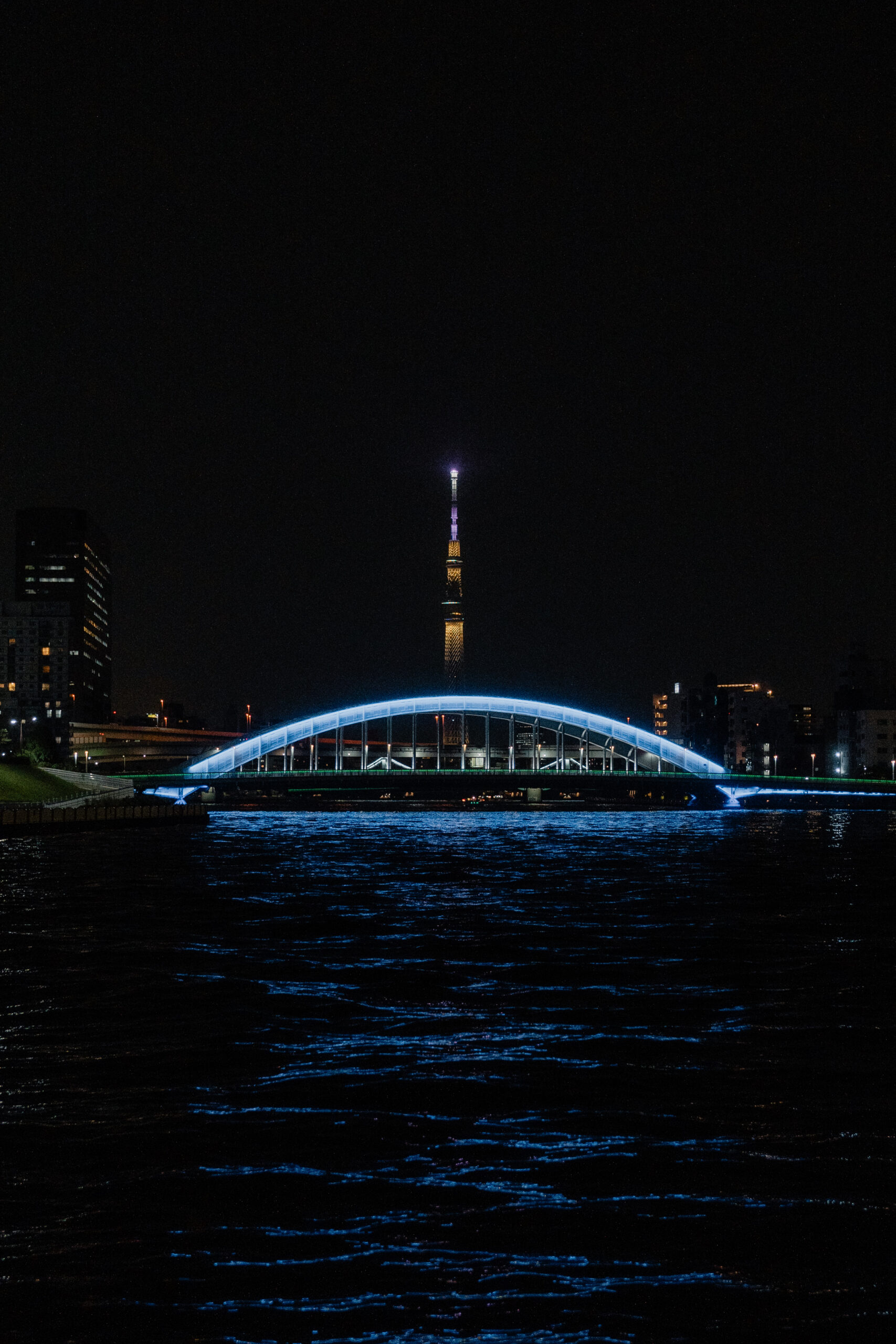 隅田川に架かる青く照らされた橋と夜空の東京スカイツリー